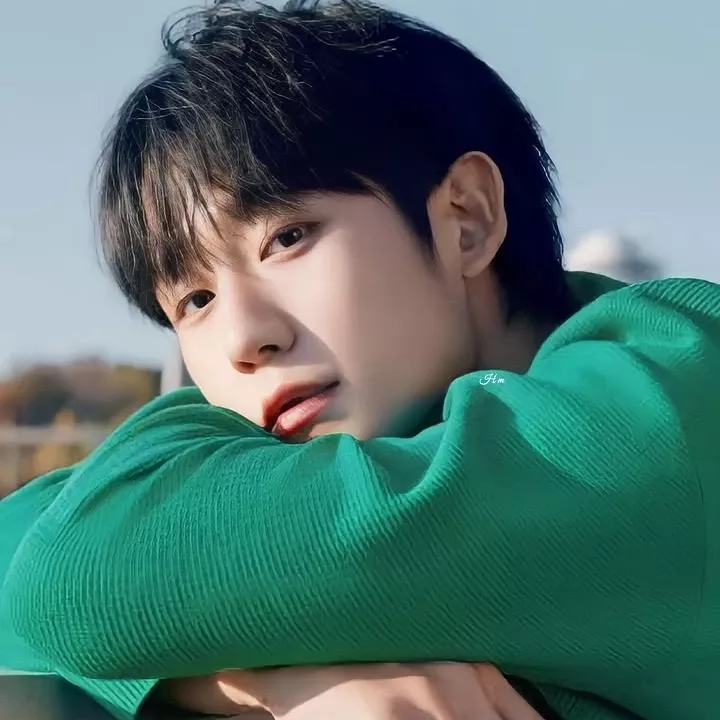 丁海寅的近期活动照