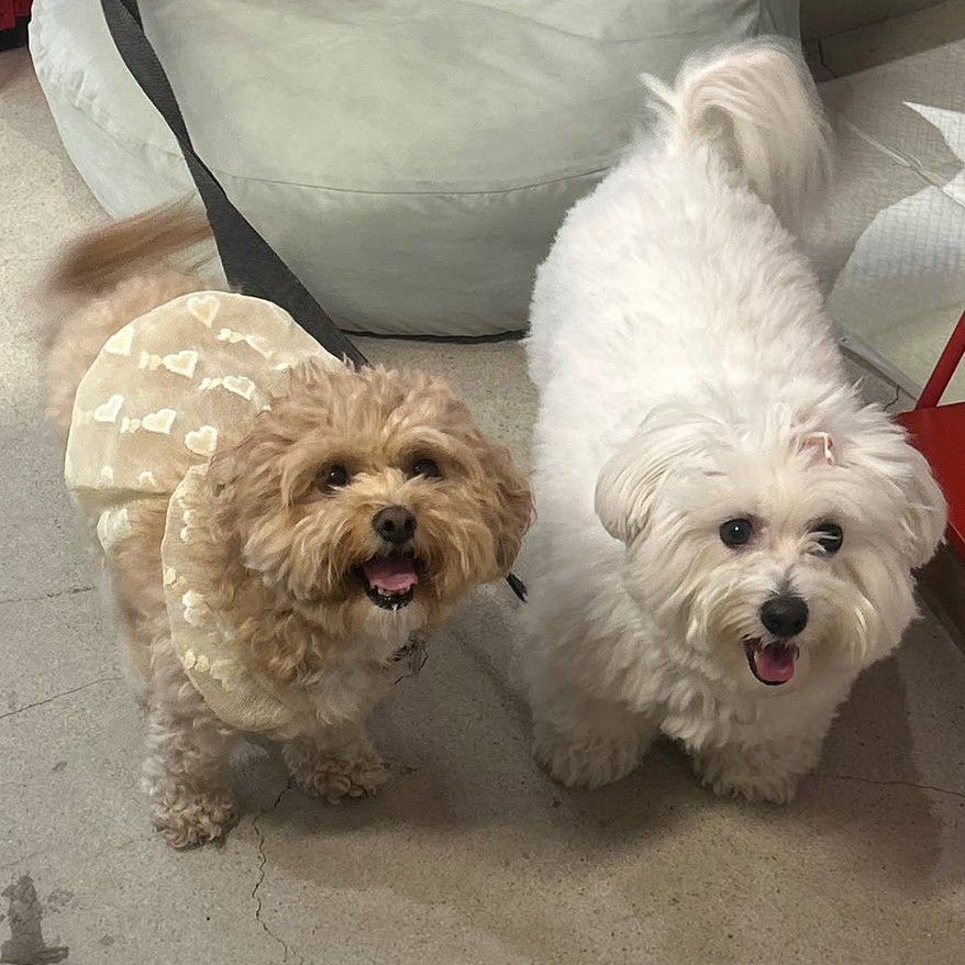 Momen yang diabadikan oleh penggemar Kim Seonho