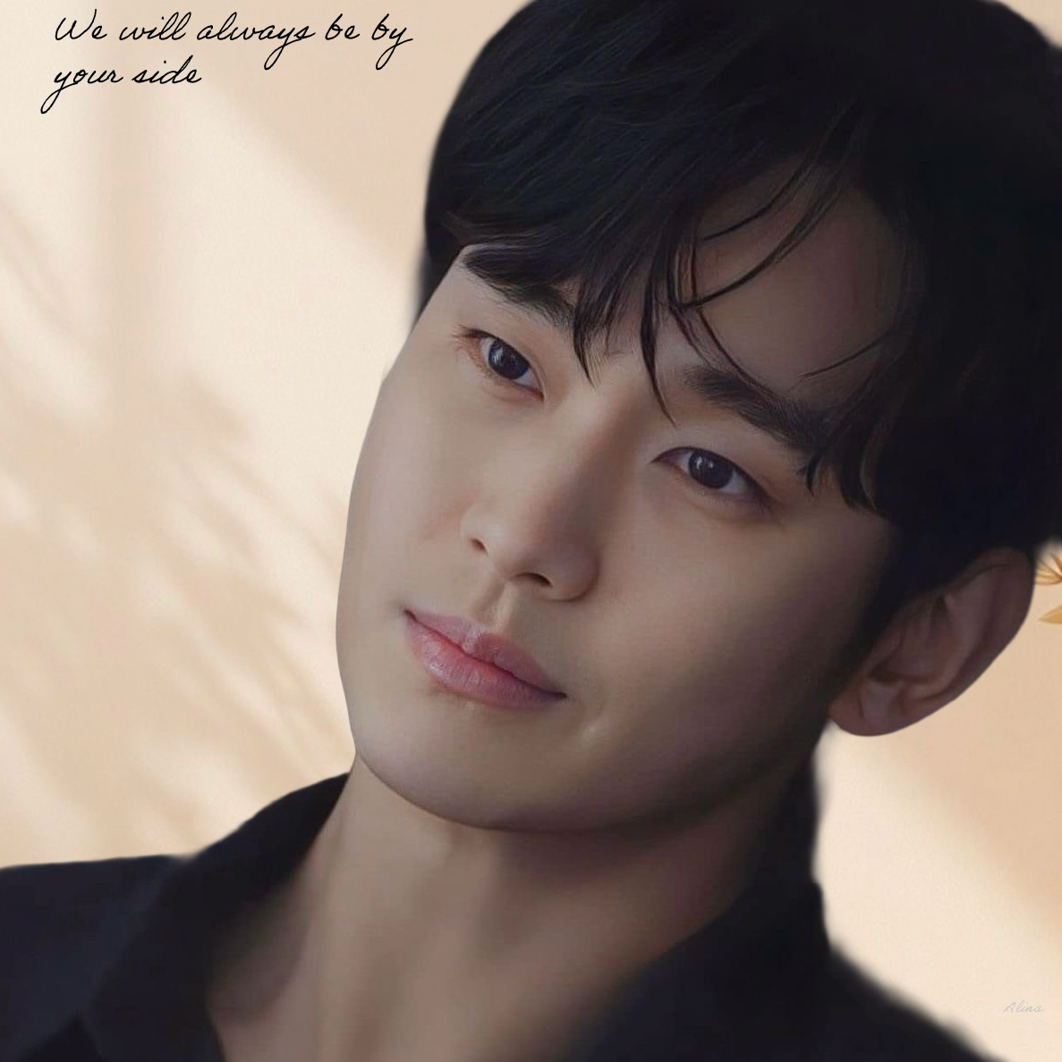 A moment captured by a fan of Kim Soohyun