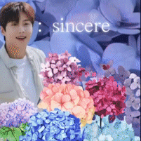 김선호의 비하인드 컷