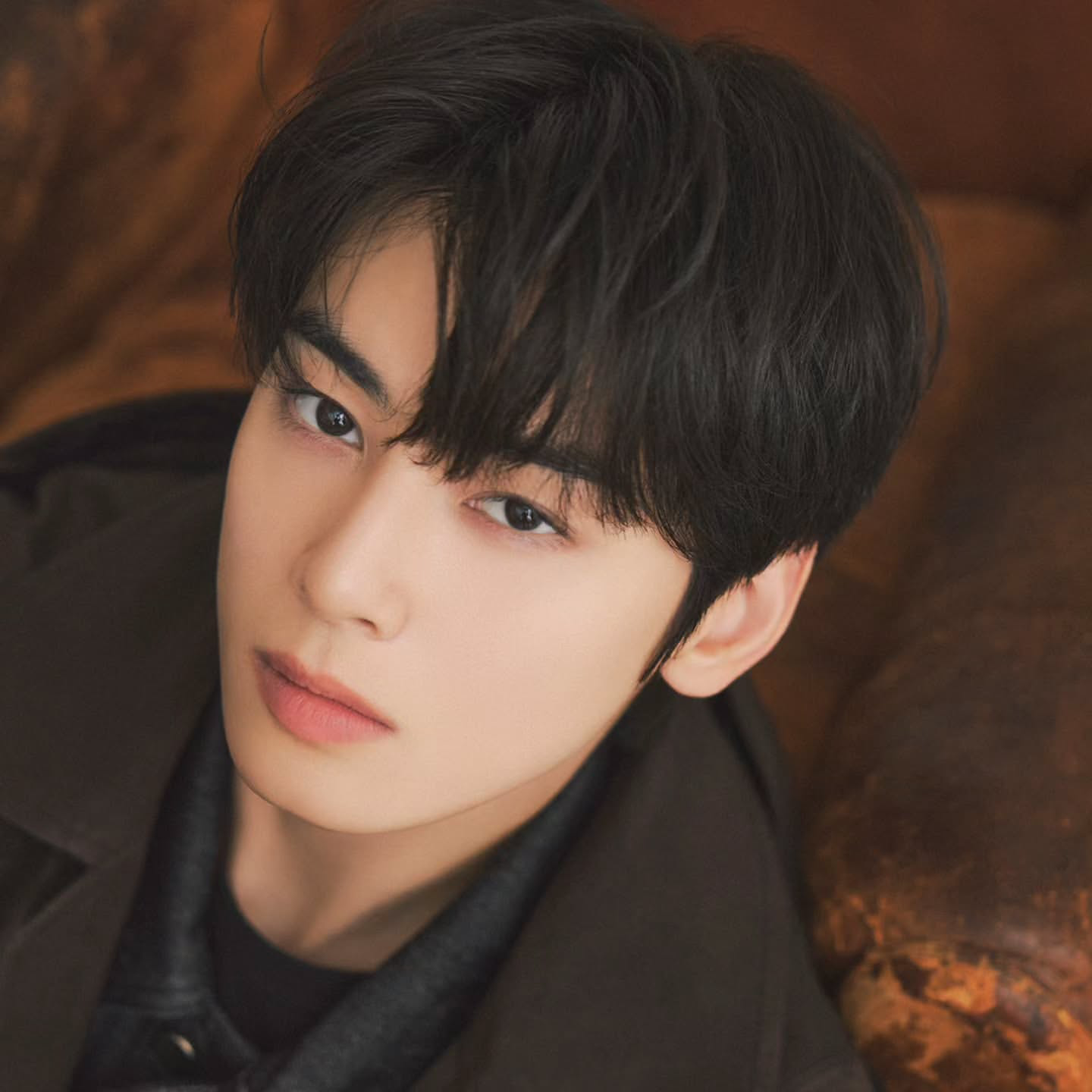 Recent activity shot of Cha Eunwoo