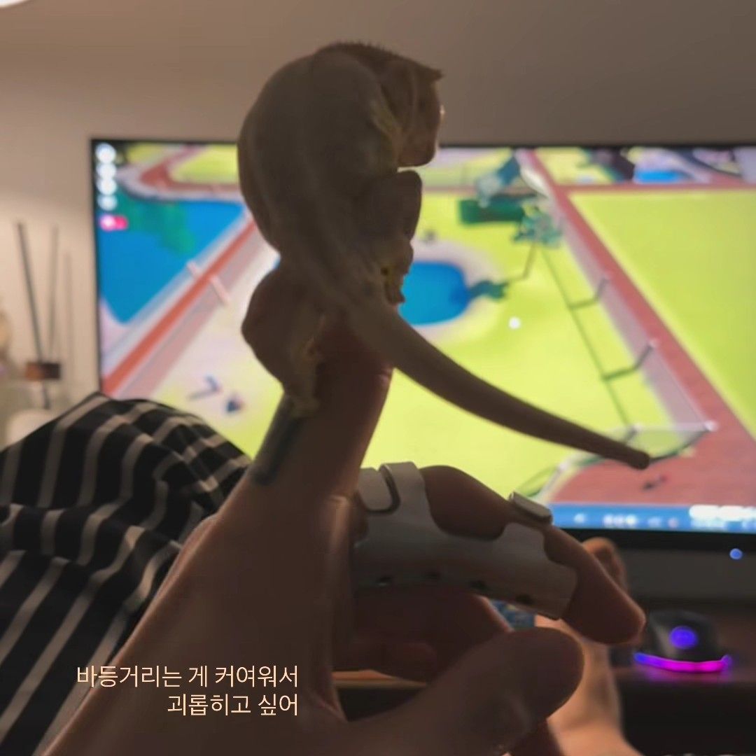 Recent activity shot of Ki Moogan