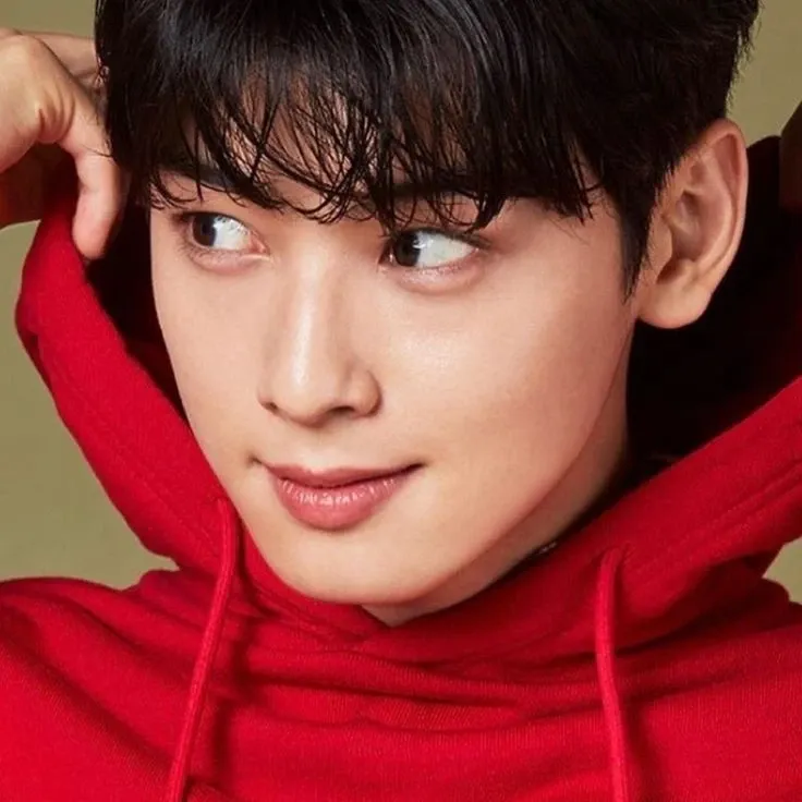 A moment captured by a fan of Cha Eunwoo