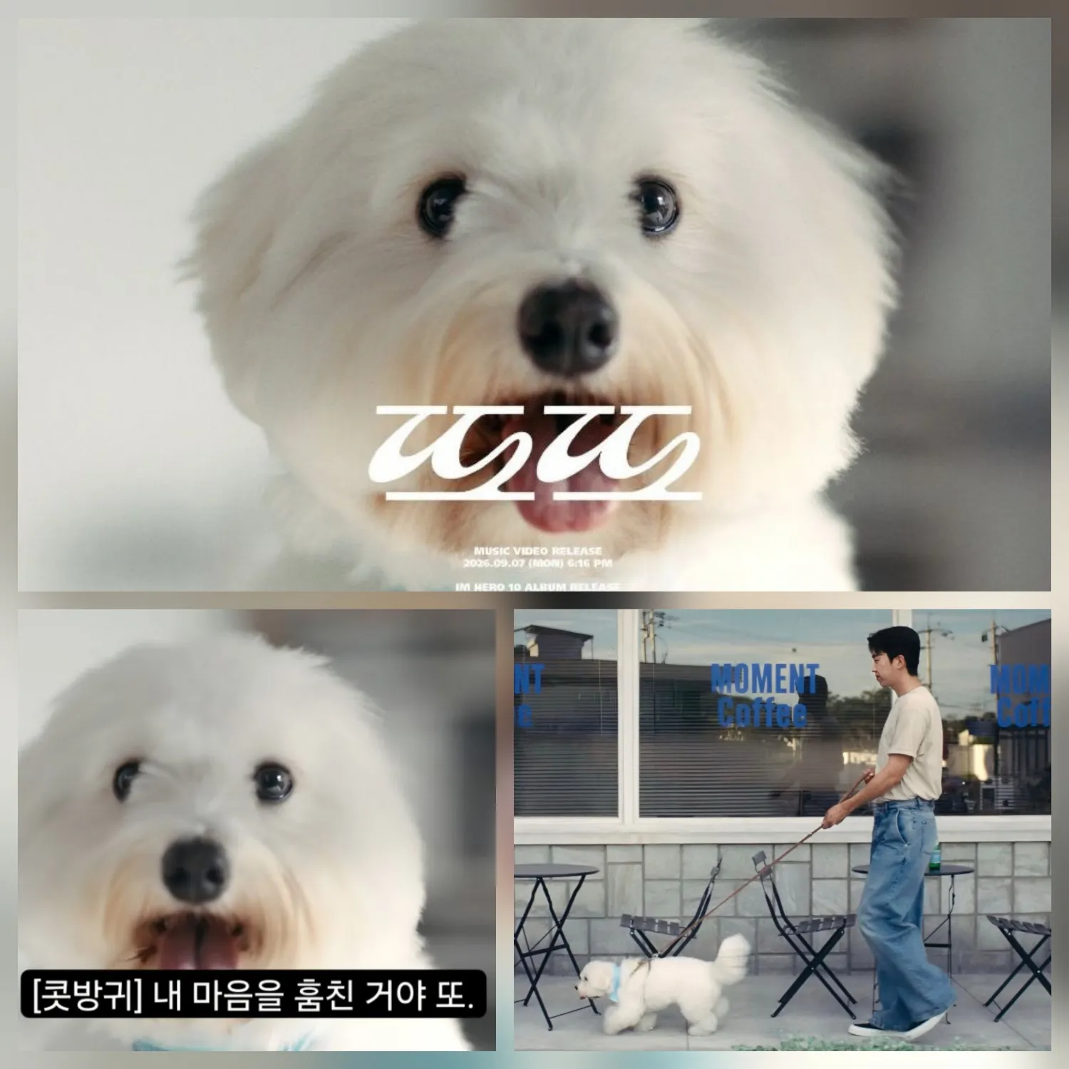 임영웅 팬이 찍은 순간