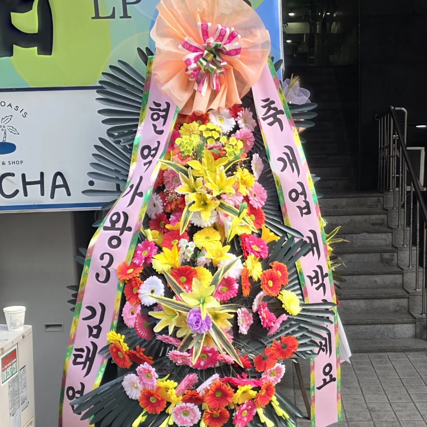 김태연의 비하인드 컷