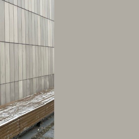 Recent activity shot of Bona