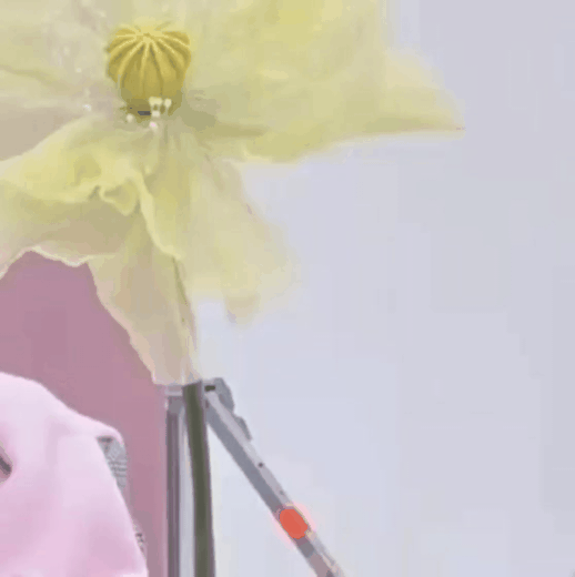 丁海寅的最新照片