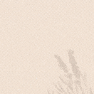 キム・ソンホの最近の活動ショット