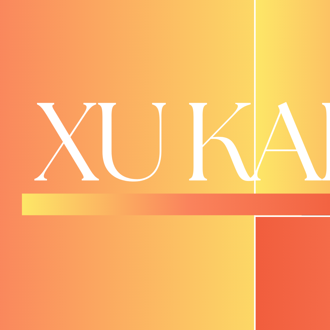 A moment captured by a fan of Xu Kai