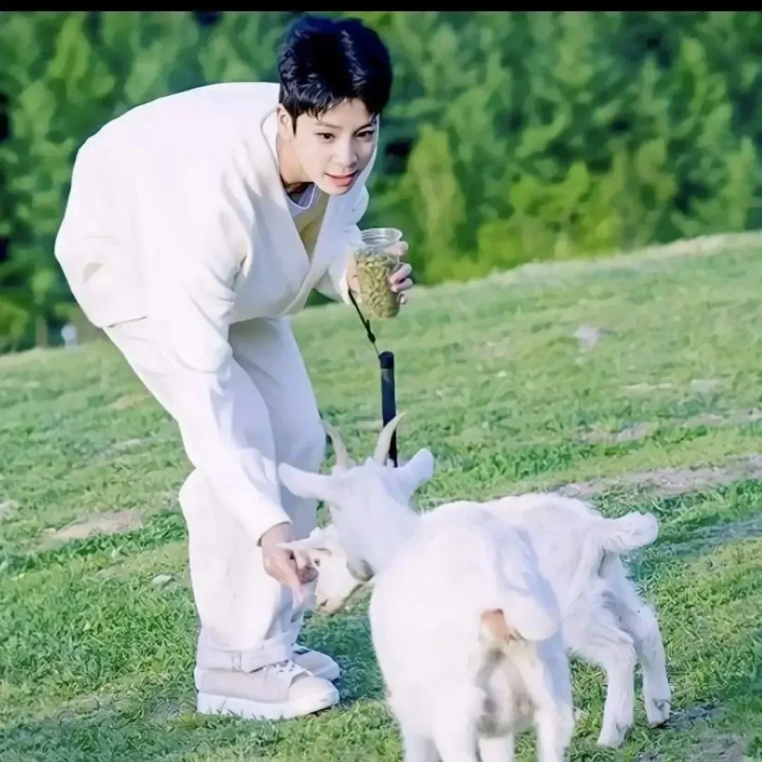 郑东元的幕后花絮