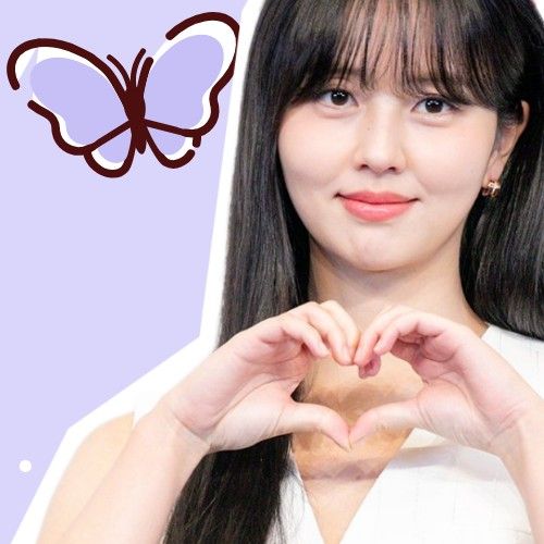 金所泫的近期活動照