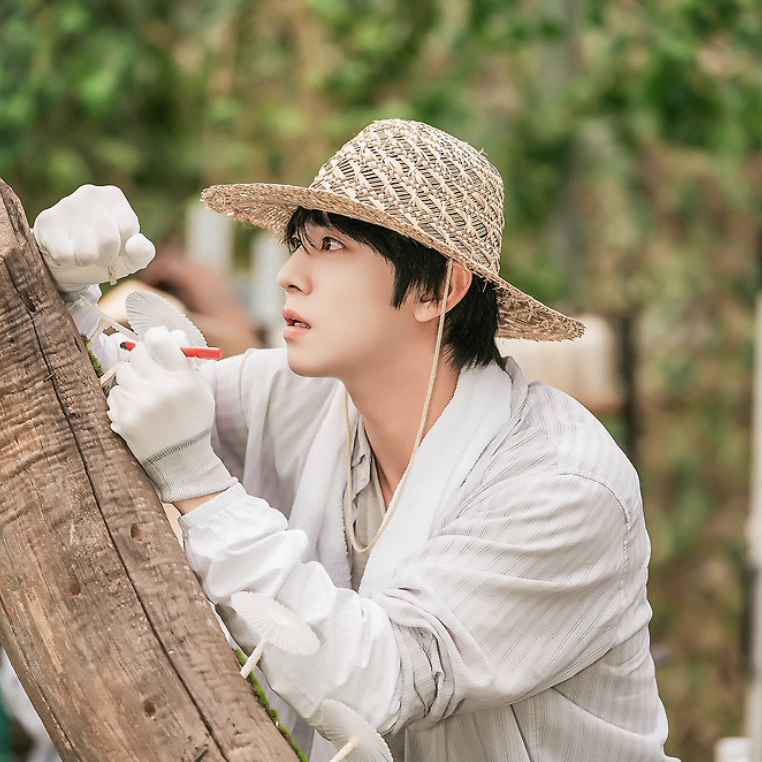 A moment captured by a fan of Ahn Hyoseop