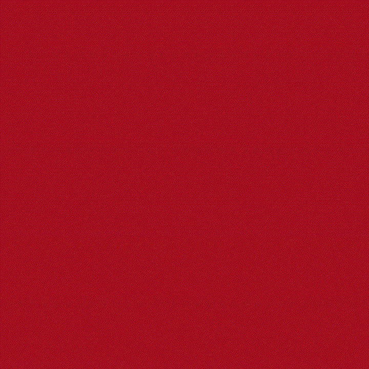 Momen yang diabadikan oleh penggemar Rowoon