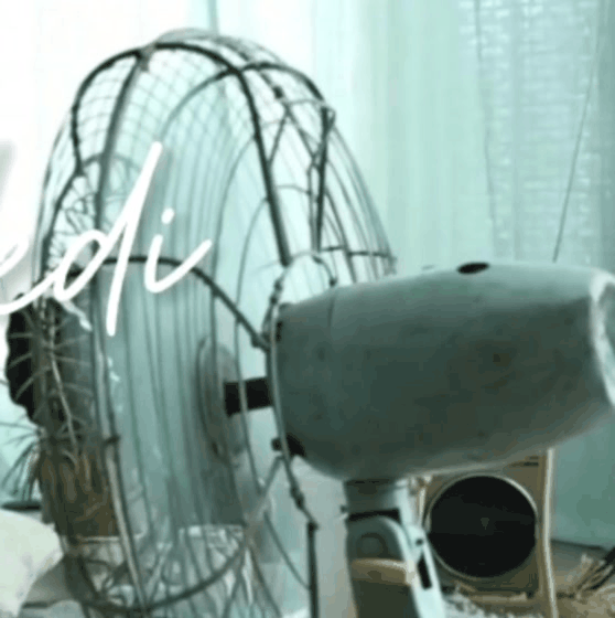 Behind-the-scenes cut of Dylan Wang