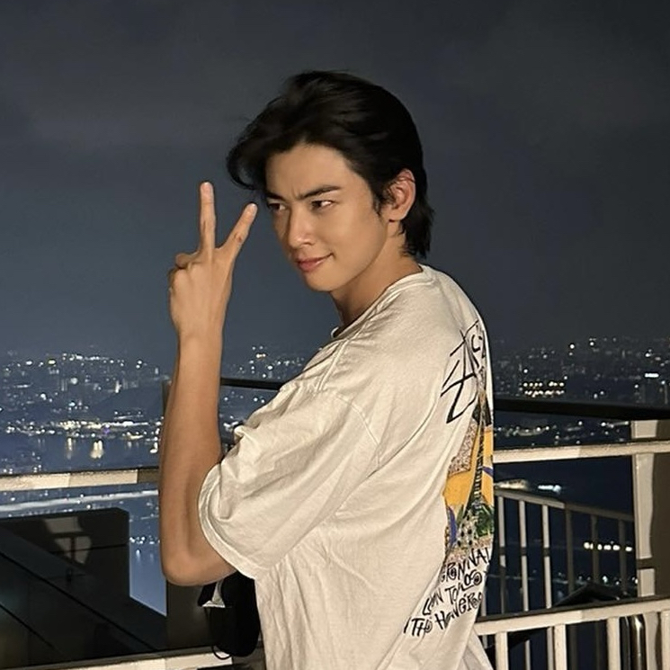 チャ・ウヌのビハインドカット