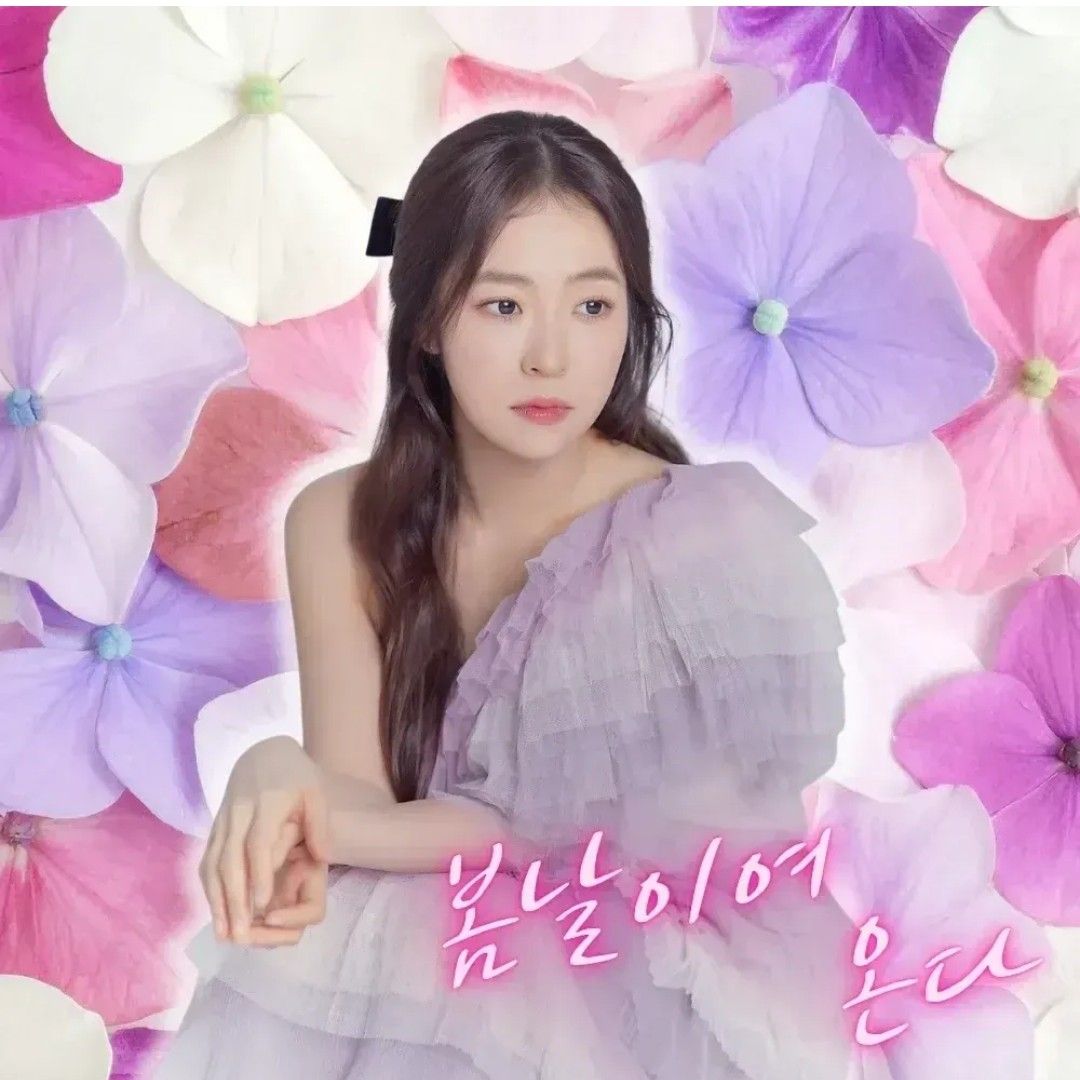 홍자 팬이 찍은 순간