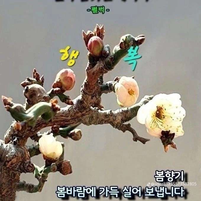 李燦元的近期活動照