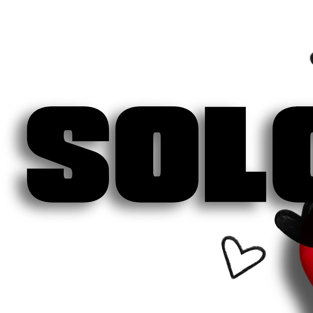 로몬 최근 활동샷