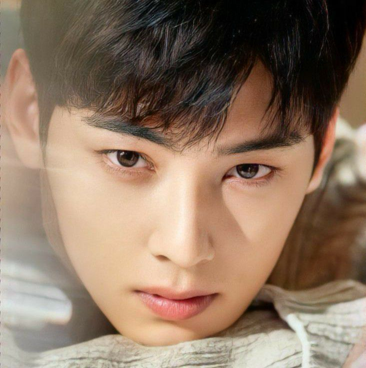 A moment captured by a fan of Cha Eunwoo