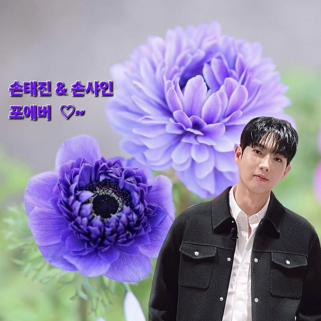 최애돌셀럽 커뮤니티 인기 폭발 포스트