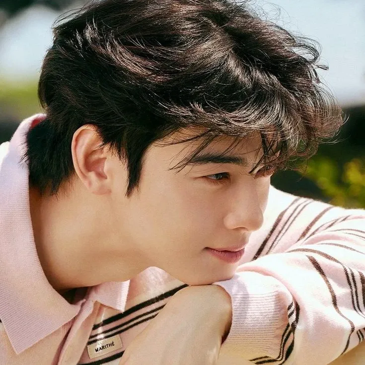 Behind-the-scenes cut of Cha Eunwoo