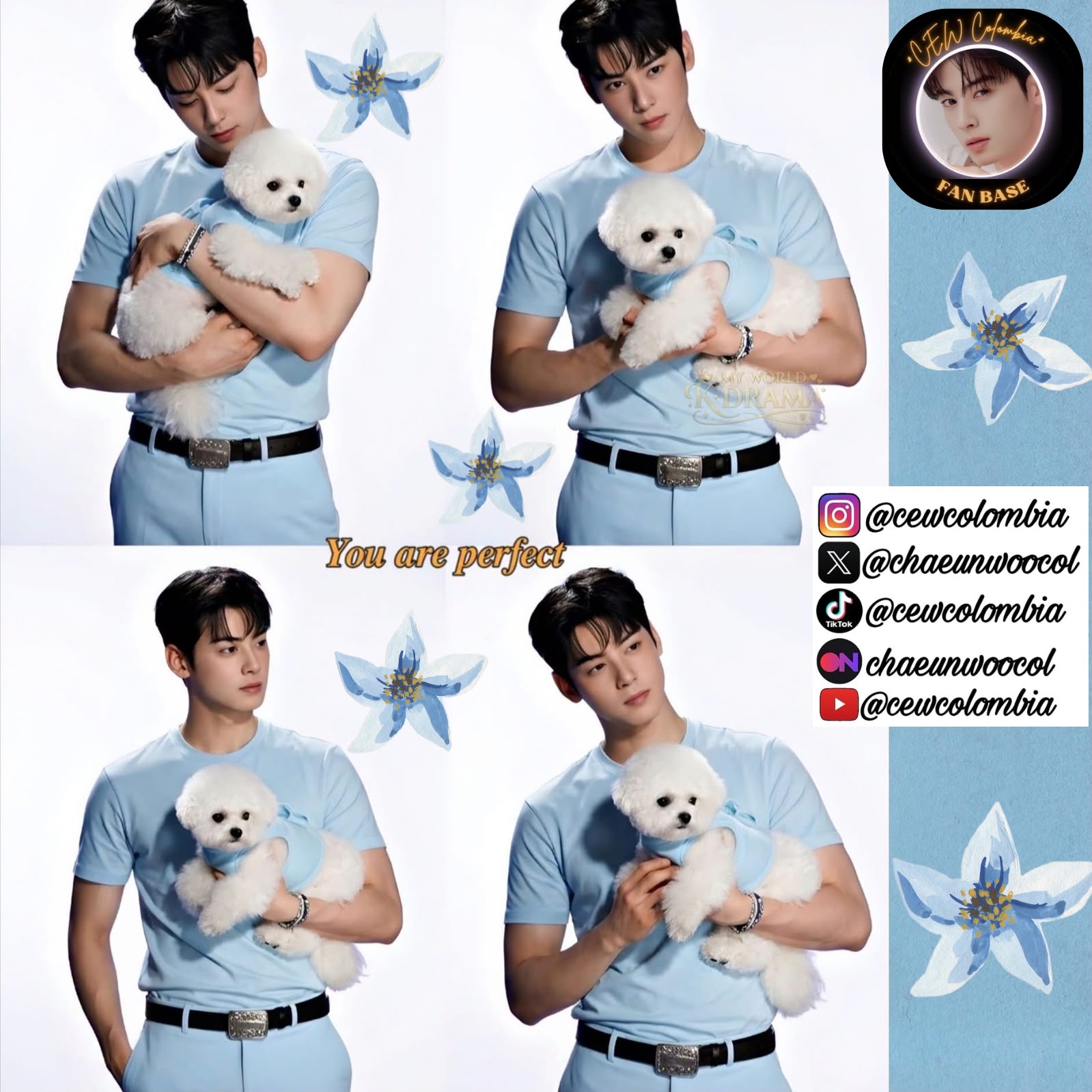 Recent activity shot of Cha Eunwoo