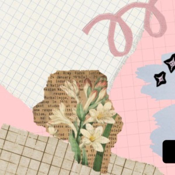 展现金智媛魅力的代表照片