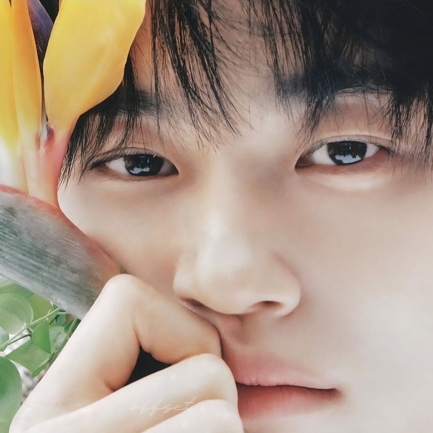 변우석의 최신 사진