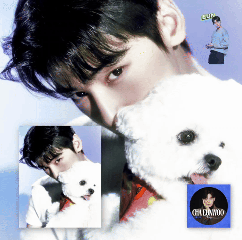 Recent activity shot of Cha Eunwoo