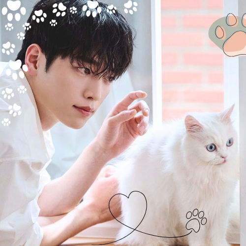 Latest photo of Seo Kangjoon