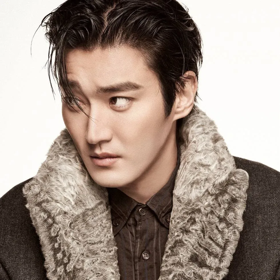 A moment captured by a fan of Choi Siwon