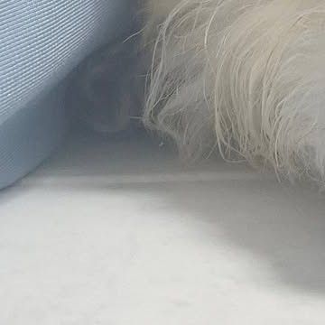 A moment captured by a fan of Lee Jungha