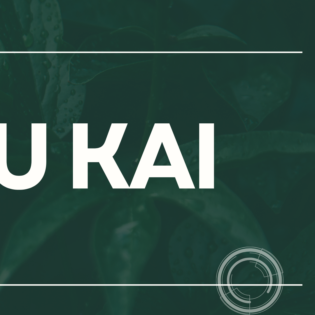 Behind-the-scenes cut of Xu Kai