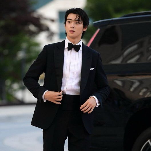 Behind-the-scenes cut of Cha Eunwoo