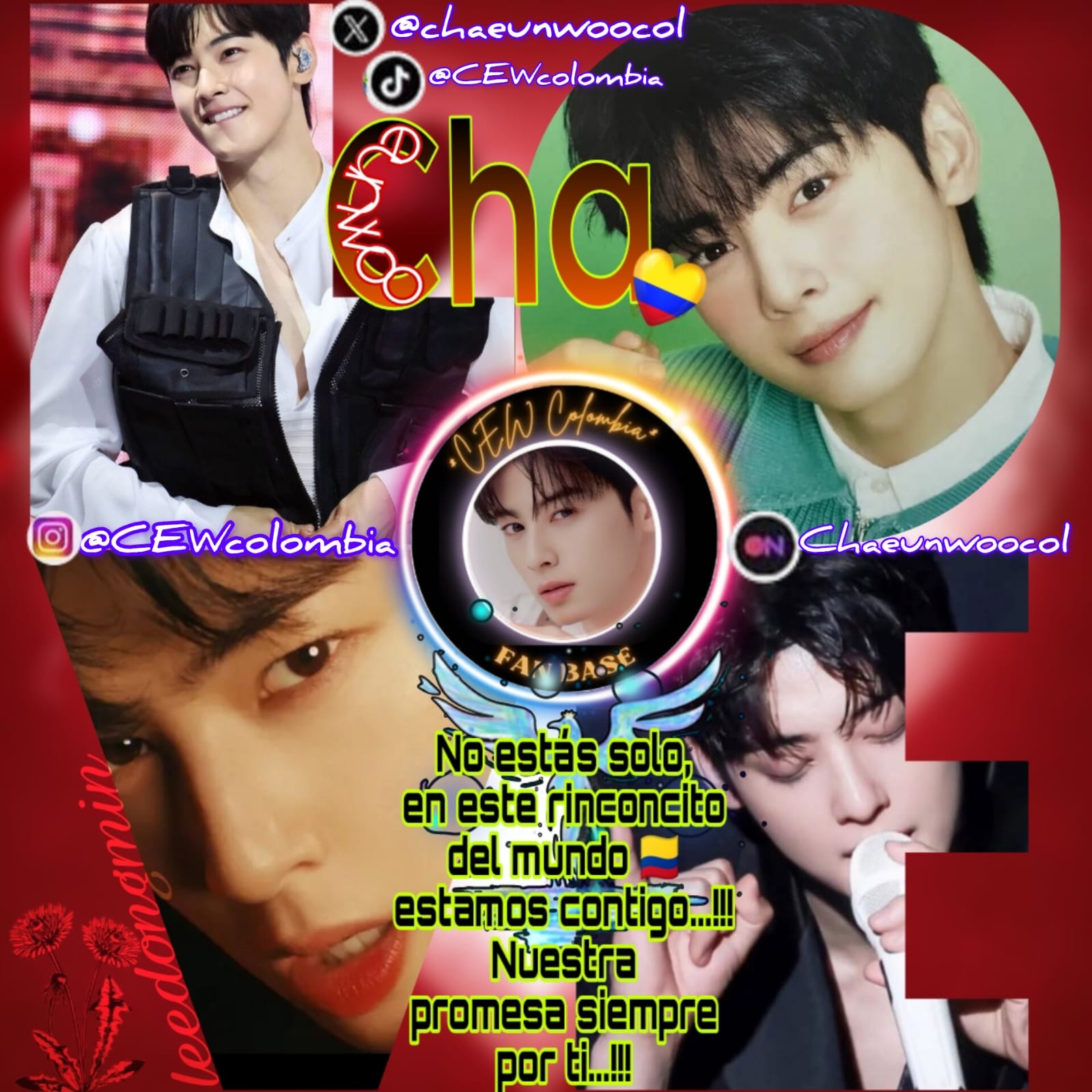 車銀優的最新照片