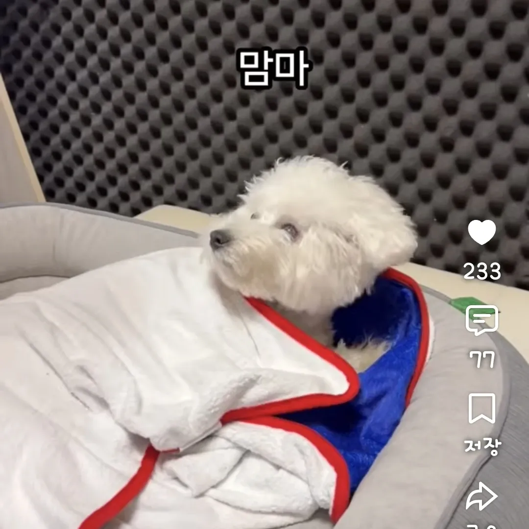 Recent activity shot of Jin Haesung