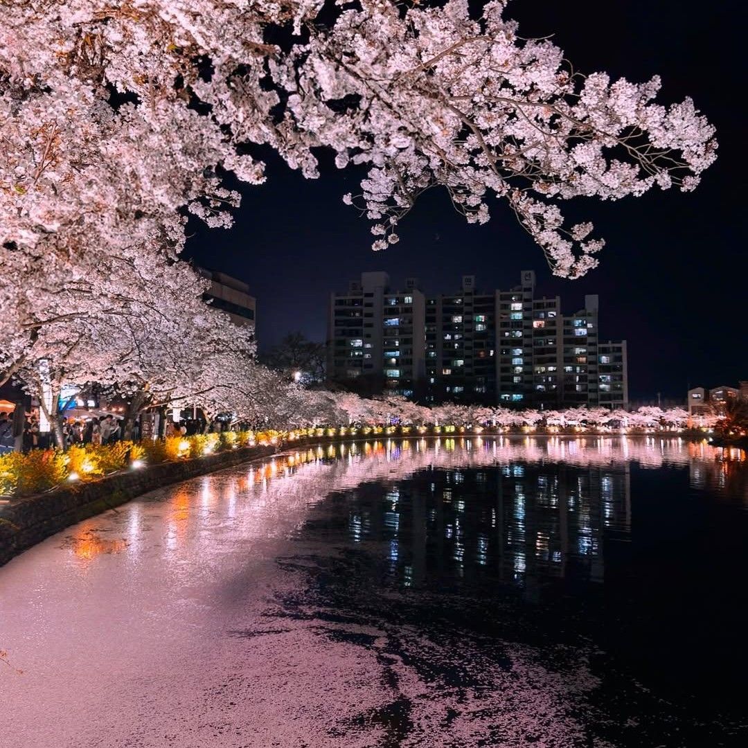 A moment captured by a fan of Chae Yoon