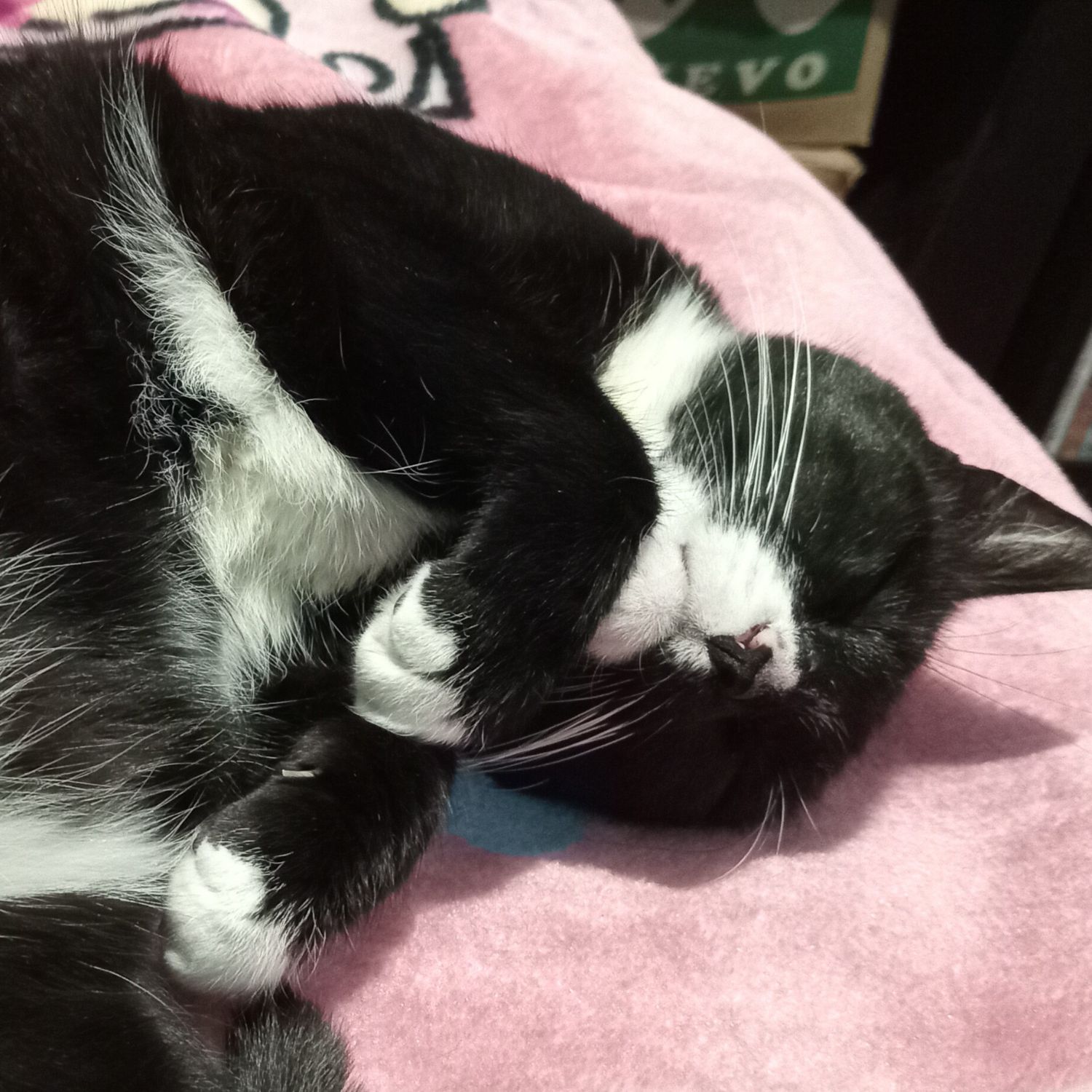 이민호 최근 활동샷