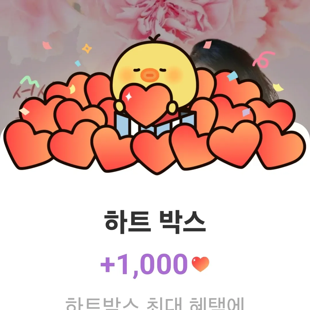 홍자의 최신 사진