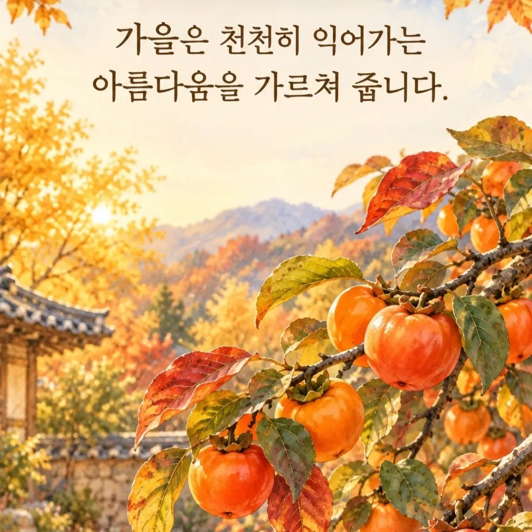金浩中的近期活动照