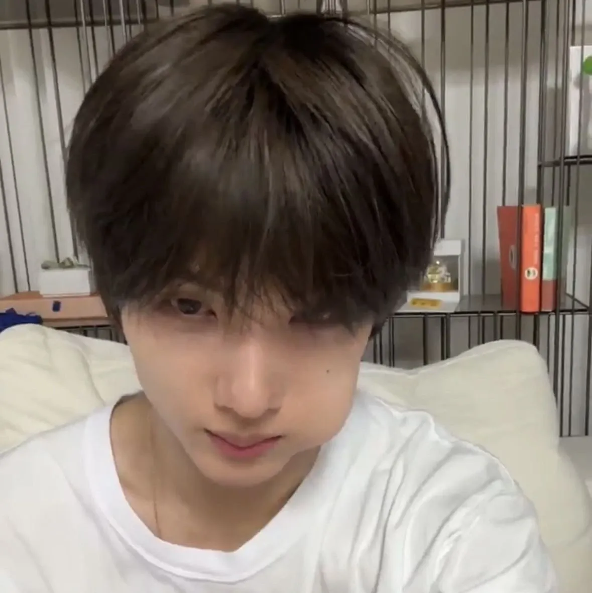 Recent activity shot of Park Jisung