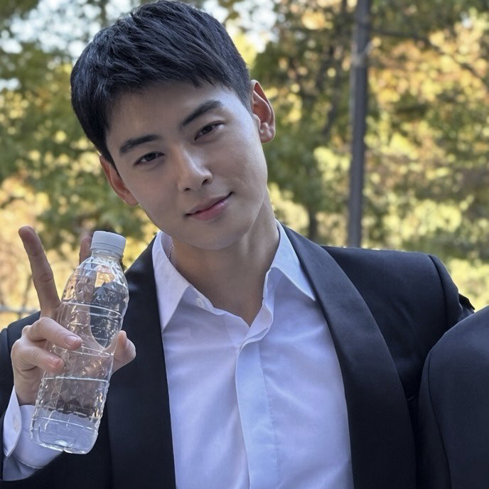 A moment captured by a fan of Cha Eunwoo