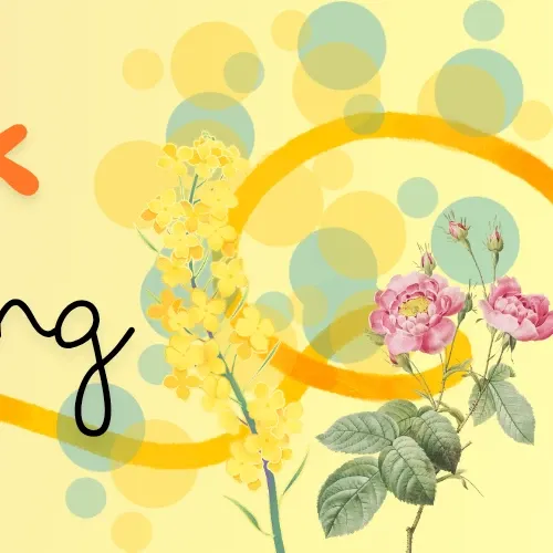 Recent activity shot of Park Boyoung