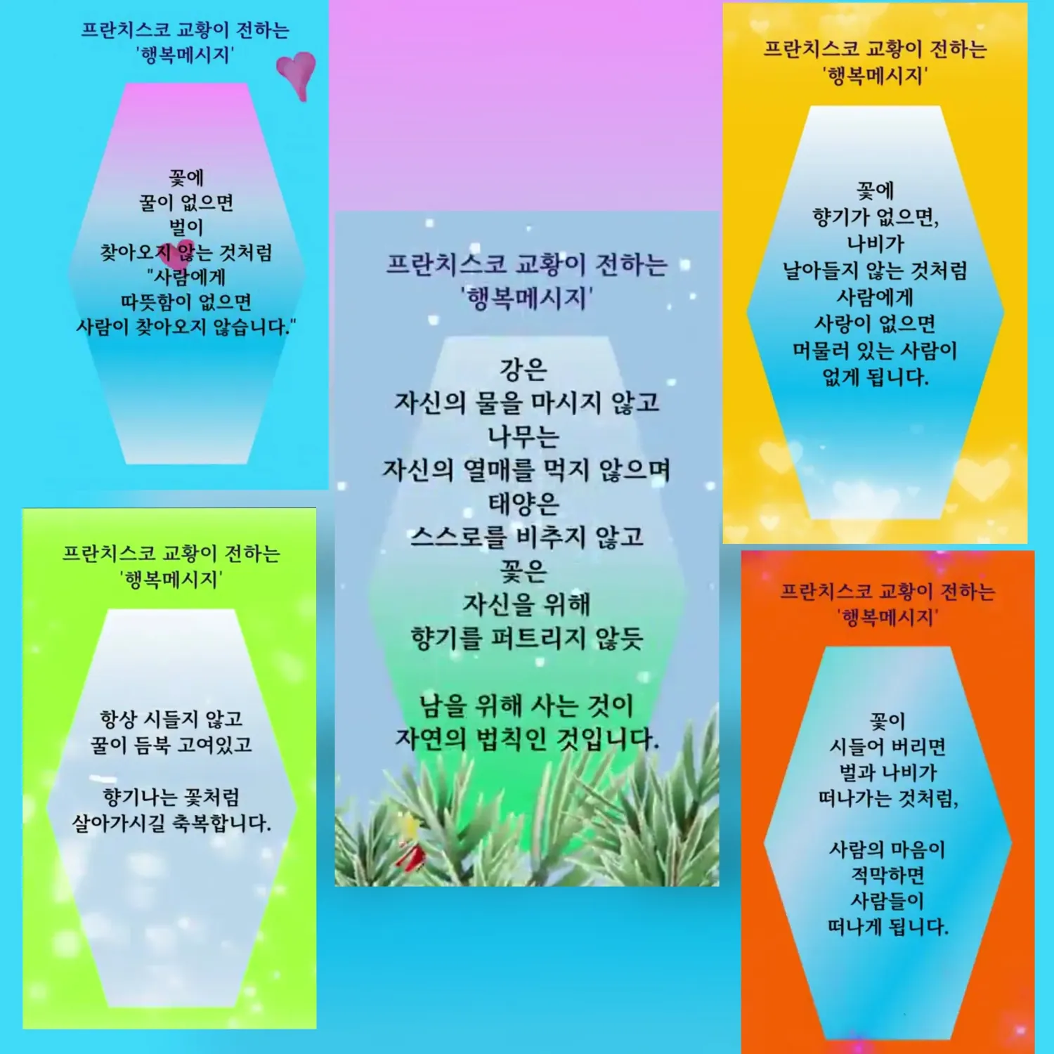 박서진 팬이 찍은 순간