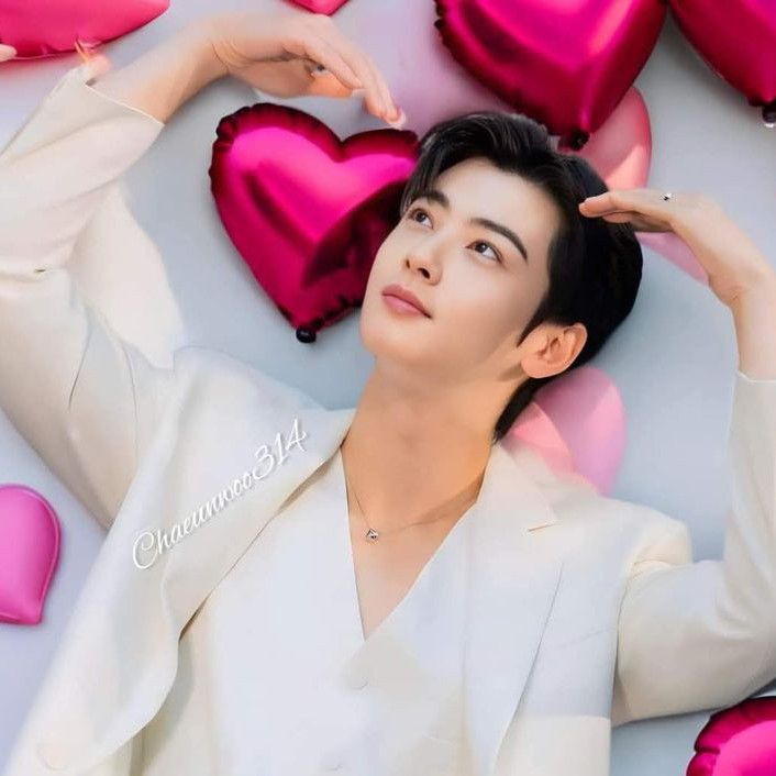 ファンが撮影したチャ・ウヌの瞬間