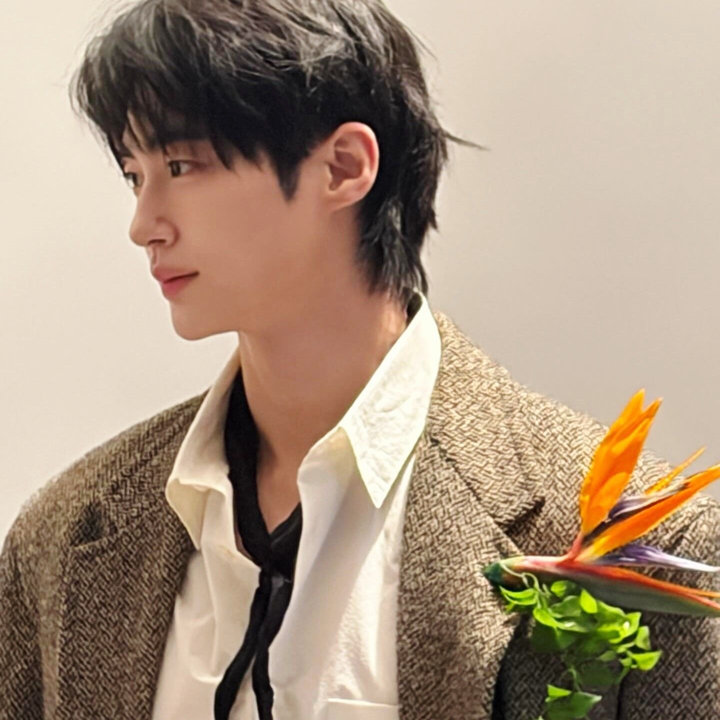 Latest photo of Byeon Wooseok