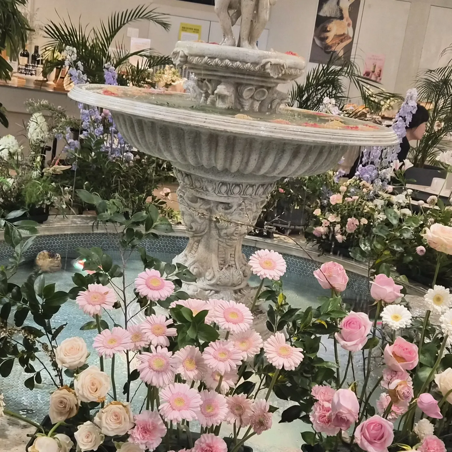 金浩中的近期活动照