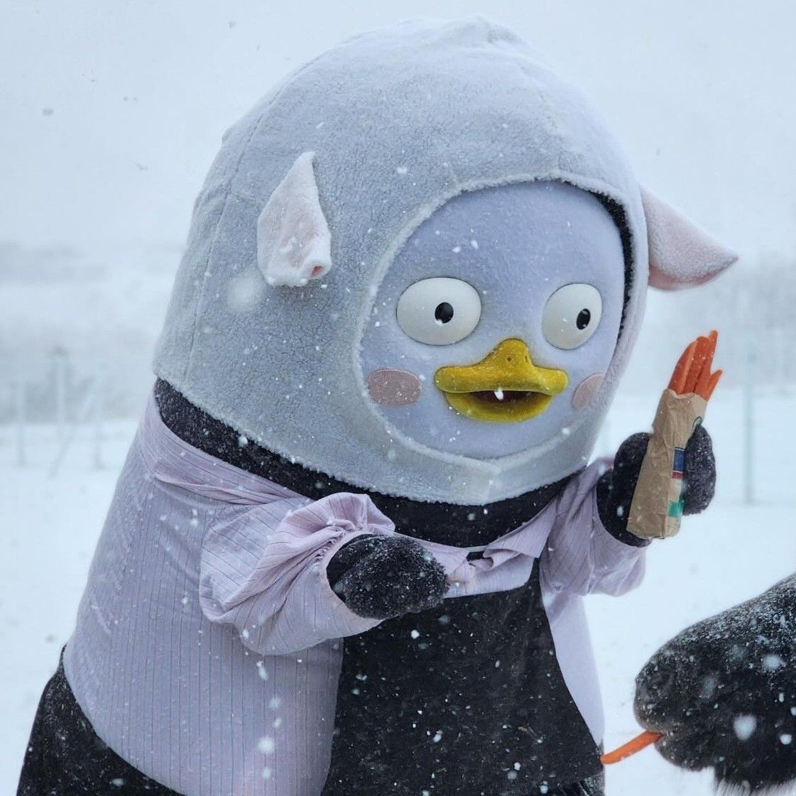 Foto terbaru dari Pengsoo