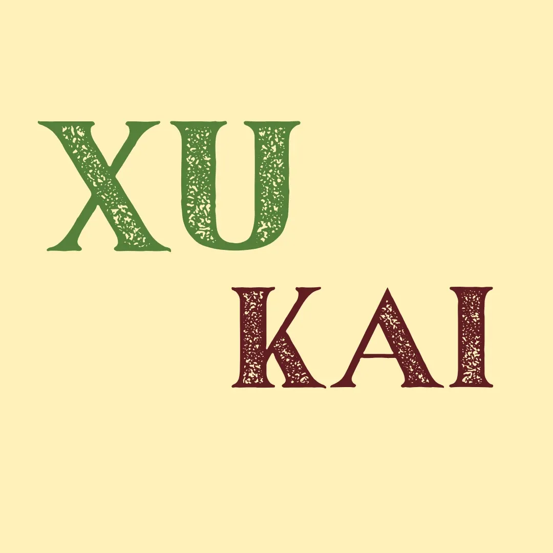 A moment captured by a fan of Xu Kai