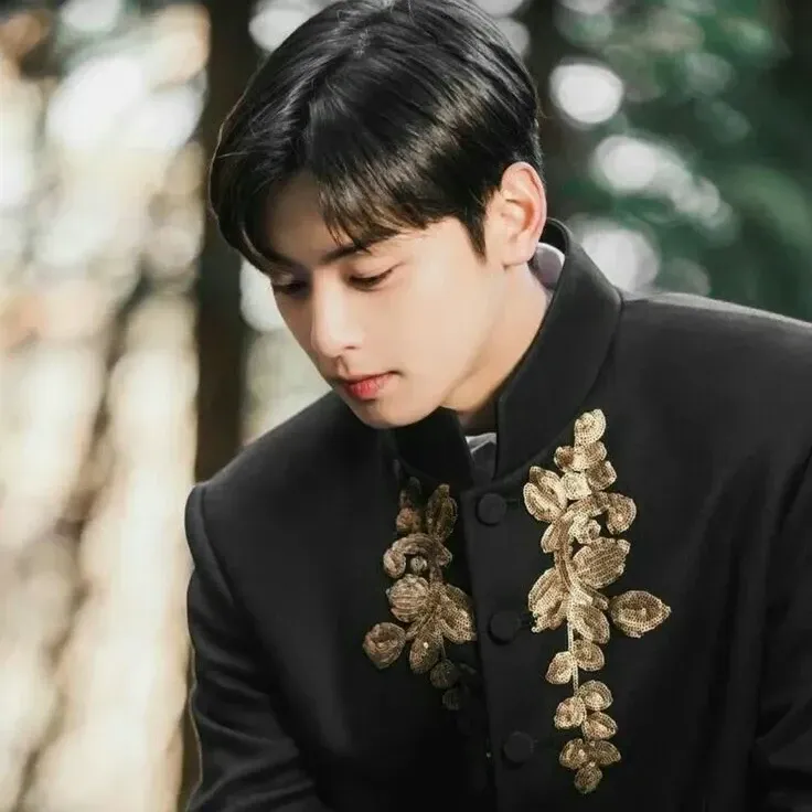 A moment captured by a fan of Cha Eunwoo